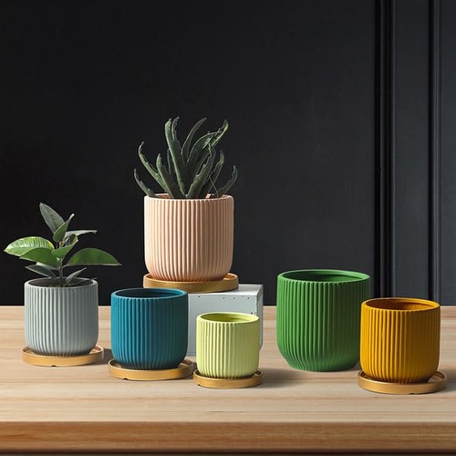 Ceramic Circular Pots with Golden Tray