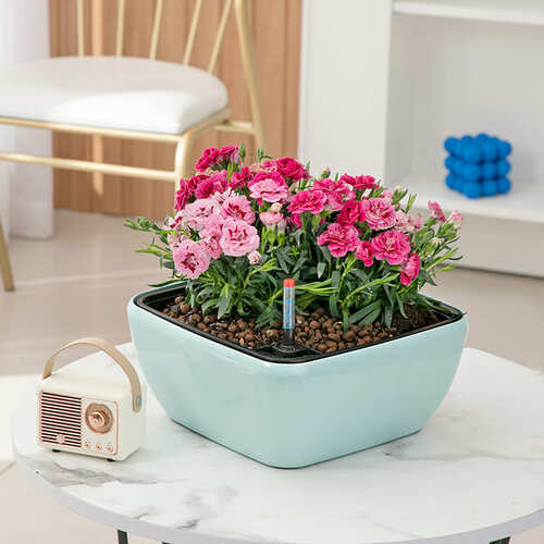 Square Self Watering Planters